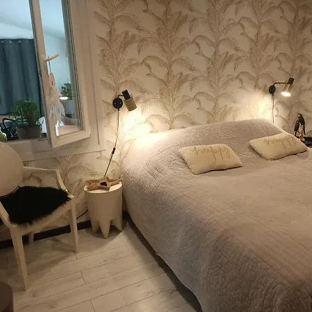 Adorable T3 Terrasse/wifi Perpignan